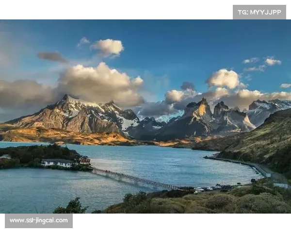 足球球探网络全球化趋势显现 南美非洲市场成为关注焦点